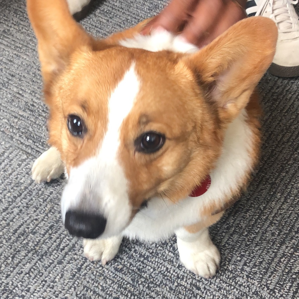 Meet your Posher, Ami